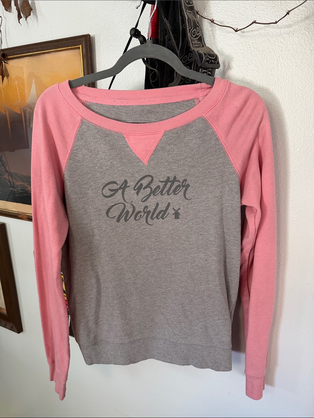 Pink & Gray 'A Better World' Raglan Long-Sleeve Top